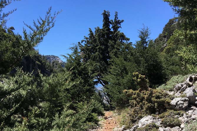 Fygou and Agia Irini Gorge Loop Half Day Hiking Tour - Coffee and Sfakiani pita with honey: plan for the break