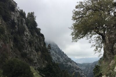 Fygou and Agia Irini Gorge Loop Half Day Hiking Tour - The Vasiliki Strata Venetian path: your payoff on the way back