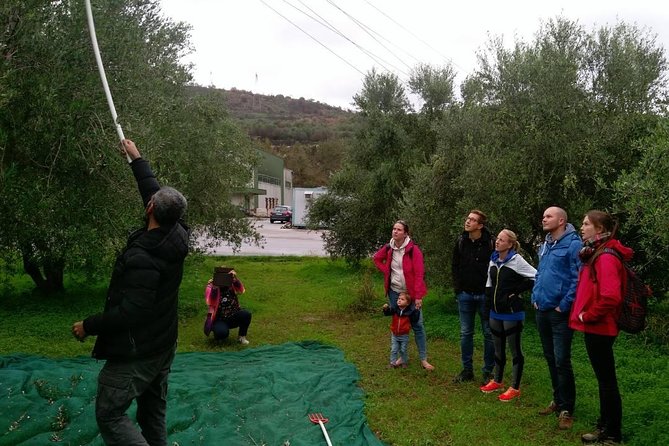 Half-Day Georgioupolis Off-Road Adventure with Meal - Apokoronas Off-Road Climb: Lefka Ori Views and Shepherd Cheese