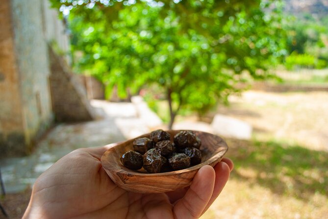 Half-Day Private Tour & Picnic in Real Cretan Countryside Retreat - Pickup, Comfort, and the Small-Group Advantage