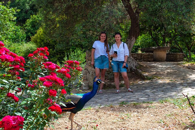 Half-Day Private Tour & Picnic in Real Cretan Countryside Retreat - Stop 3: Prinias Glimpses and Agios Panteleimonos on the Rock