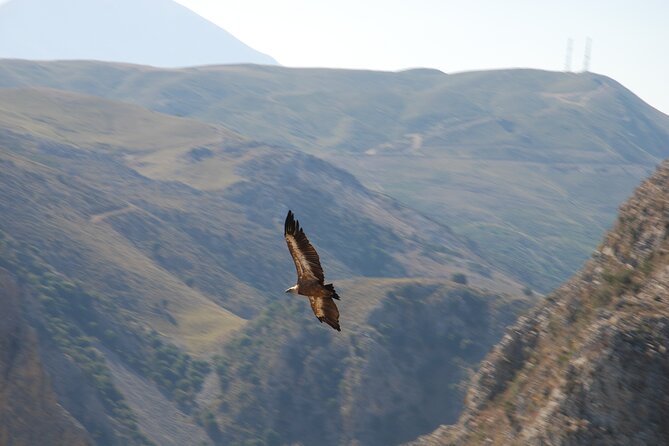 Half Day Sunset Tour in Rethymno with Dinner and Wine - Cretan Safari Land Rover: private ride energy and why it matters