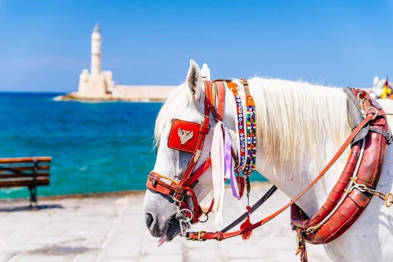 Heraklion Areas:Rethymno,Chania & Lake Kournas Full-Day Tour - Price and value: what $54 buys on a long Crete day