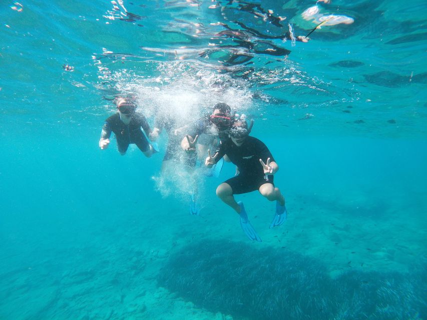Heraklion: Beginner-Friendly Snorkeling Trip - Key things I’d circle before booking