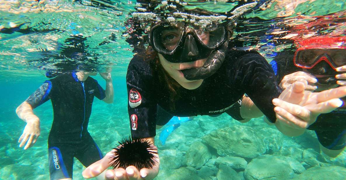 Heraklion: Beginner-Friendly Snorkeling Trip - Entering Agia Pelagia Bay the right way