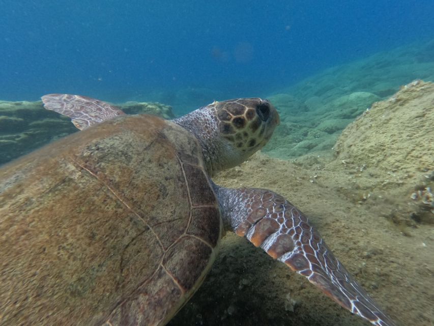 Heraklion: Beginner-Friendly Snorkeling Trip - Equipment and what you should bring (and wear)