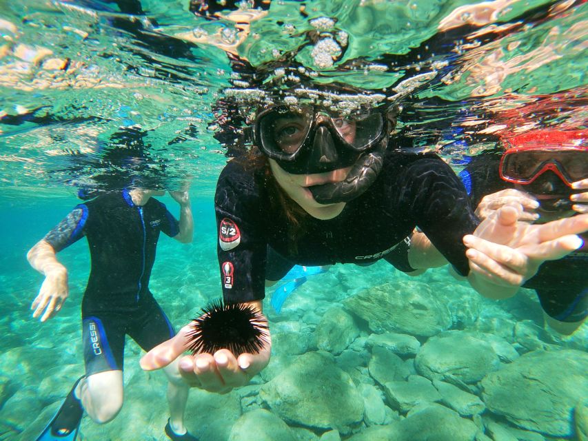 Heraklion: Beginner-Friendly Snorkeling Trip - Photos, videos, and the reality of what you get after