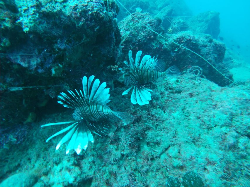 Heraklion: Beginner-Friendly Snorkeling Trip - Getting there: meeting point and pickup options without stress
