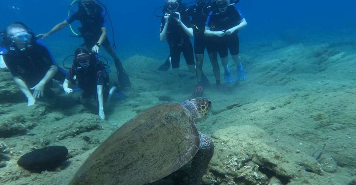 Heraklion: Beginner's intro dive w/2 Dives with transfer. - Key Points Worth Your Time