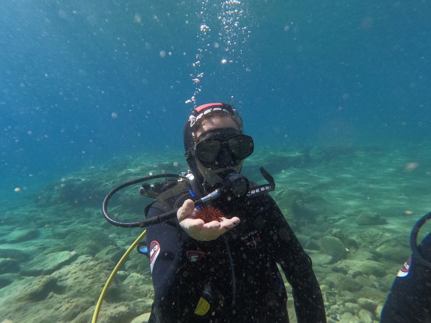 Heraklion: Beginner's intro dive w/2 Dives with transfer. - Price and Value: Is $165 Fair for What You Get?