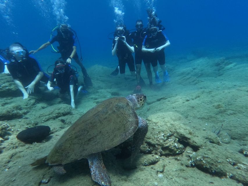 Heraklion: Beginner's intro dive w/2 Dives with transfer. - Before the Water: The 30-Minute Digital Theory Class