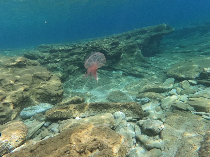 Heraklion: Beginner's intro dive w/2 Dives with transfer. - Transfers and Comfort: Getting Back Without Stress