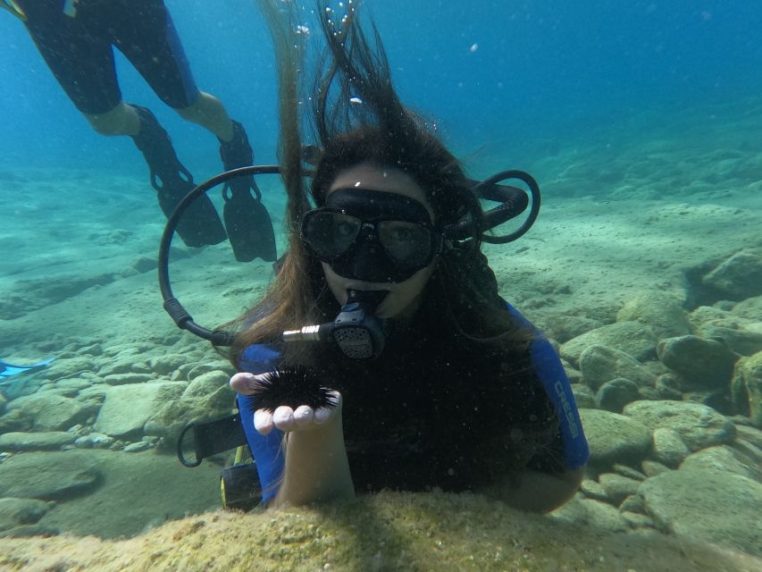 Heraklion: Beginner's intro dive w/2 Dives with transfer. - SSI Digital Diploma: What You Earn and Why It Matters