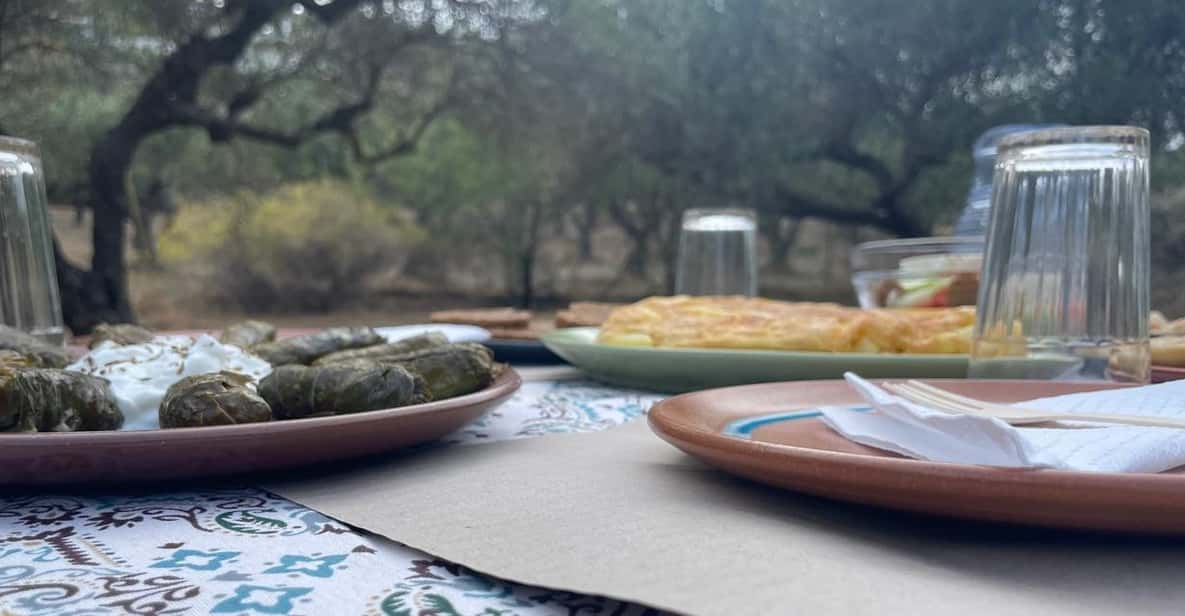 Heraklion: Cretan Farmers Brunch and Olive Grove Tour - Ntolmadakia and Herb Pies: Small Dishes With Big Payoff