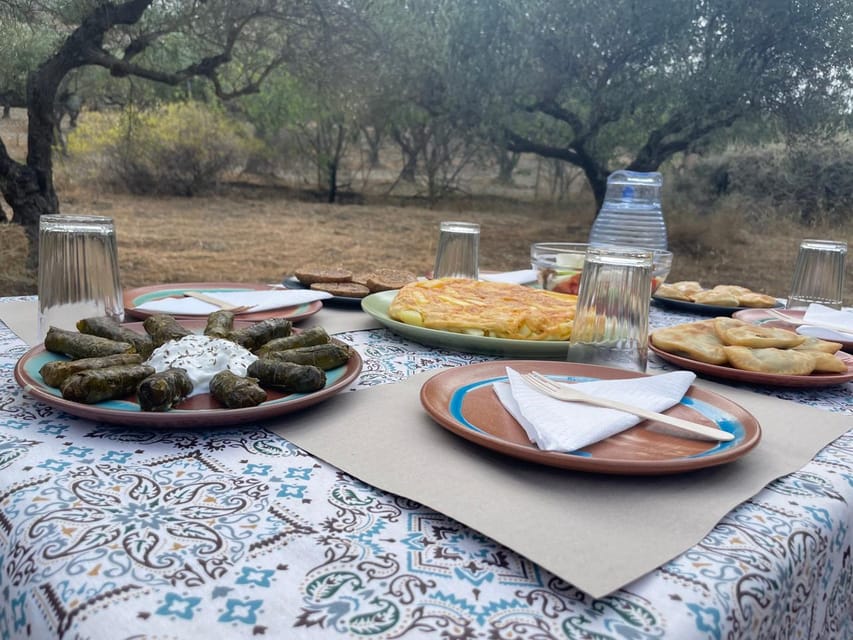 Heraklion: Cretan Farmers Brunch and Olive Grove Tour - Olive Grove Tour: Seeing Olive Oil Production Up Close