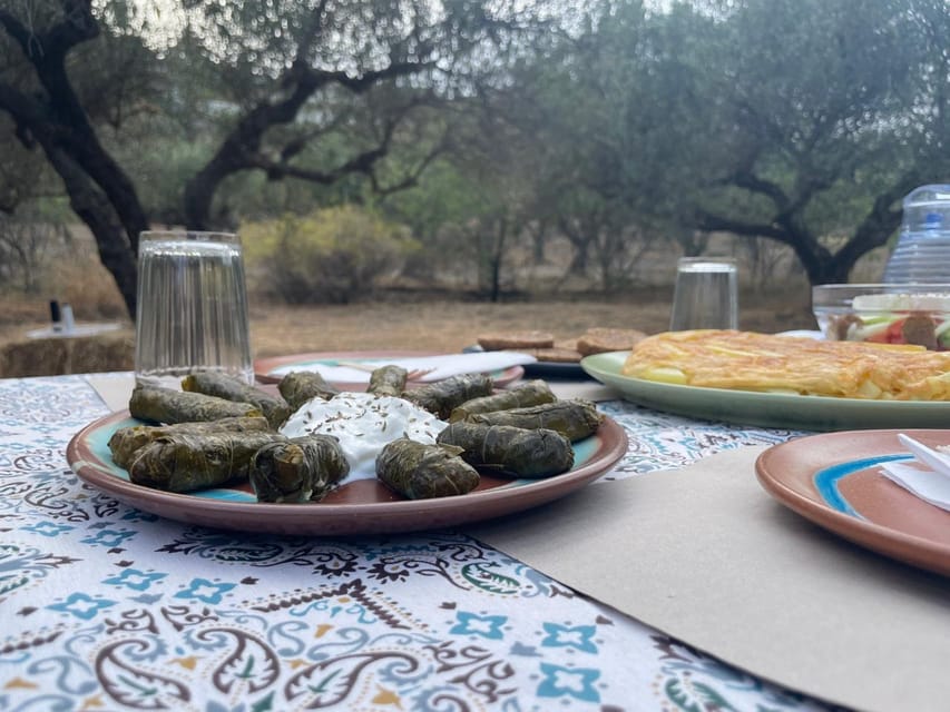 Heraklion: Cretan Farmers Brunch and Olive Grove Tour - Dragon Fruit Farm: The Rare Fruit Moment