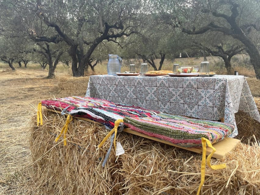Heraklion: Cretan Farmers Brunch and Olive Grove Tour - The Brunch Spread: What You Actually Eat (and Why It Works)