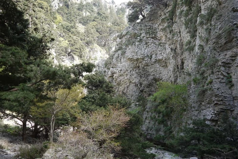 Heraklion Crete: Imbros Gorge Hike - Timing: how the day fits together