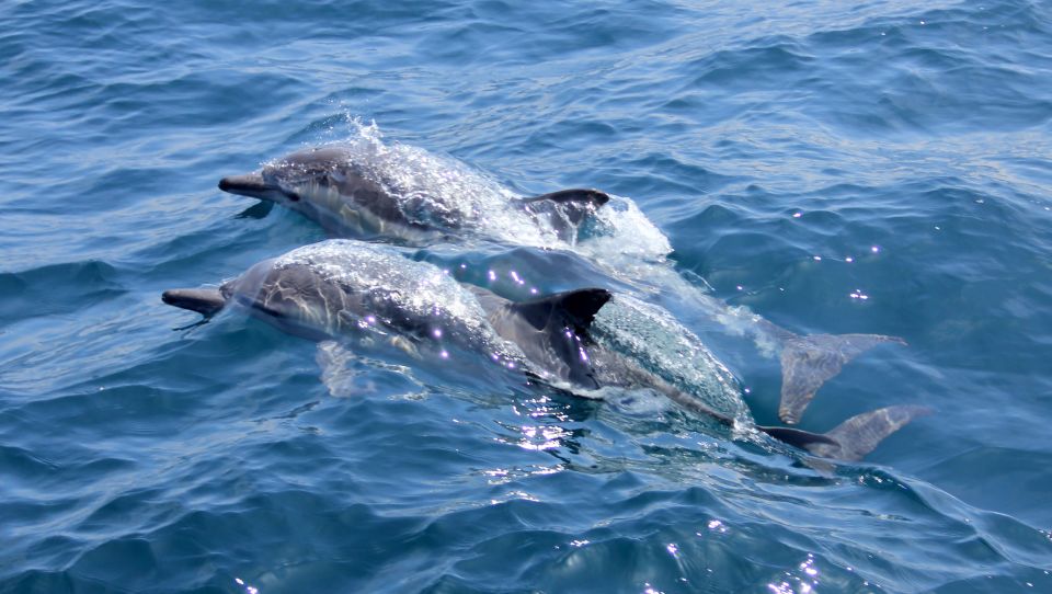 Heraklion: Dia Island Private Sailing Cruise with Full Meal - The Sailing Experience: Intro Time and Deck Comfort