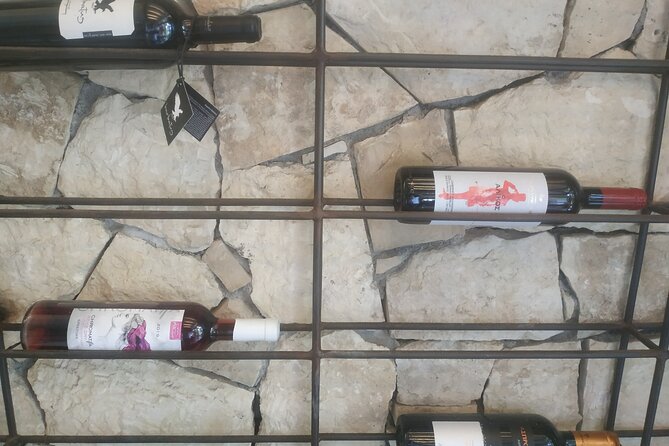 Heraklion Ecobike Tour & Cretan Wine Tasting Experience - Should you book Heraklion Ecobike Tour & Cretan Wine Tasting?