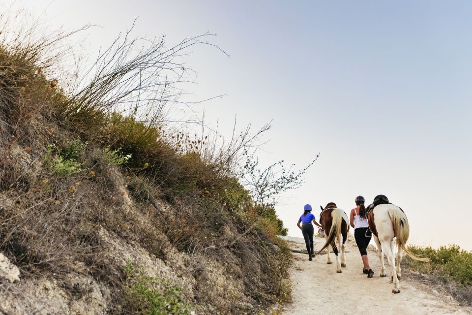 Heraklion: Horse Ride in the Cretan Mountains - Who should book this horseback ride from Heraklion?