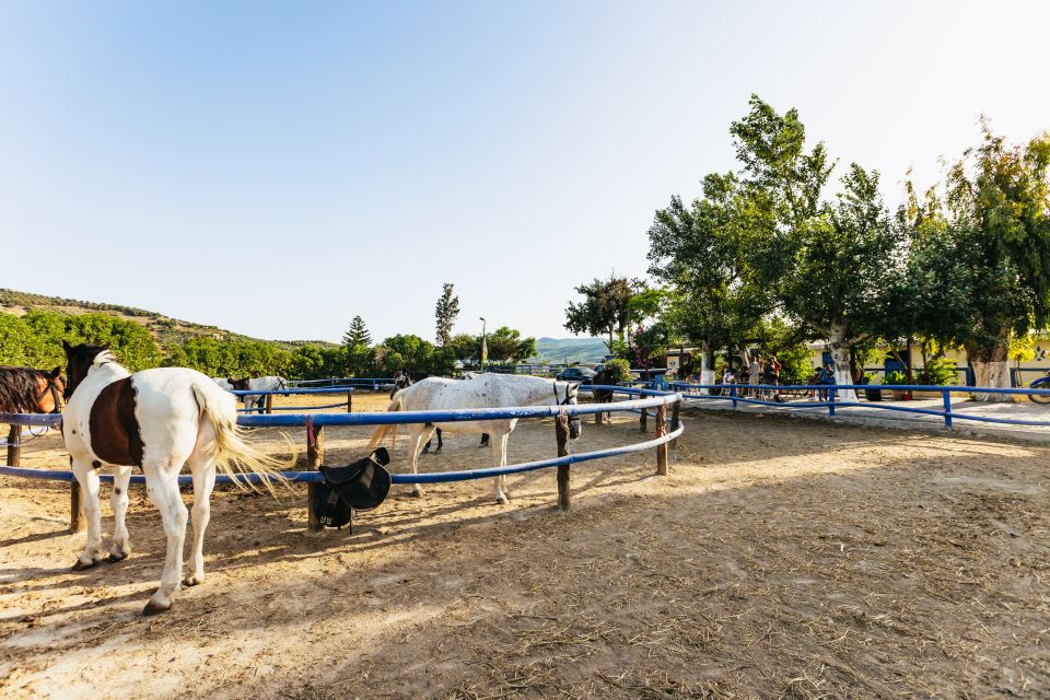Heraklion: Horse Ride in the Cretan Mountains - Getting to the farm and dealing with weather in Crete