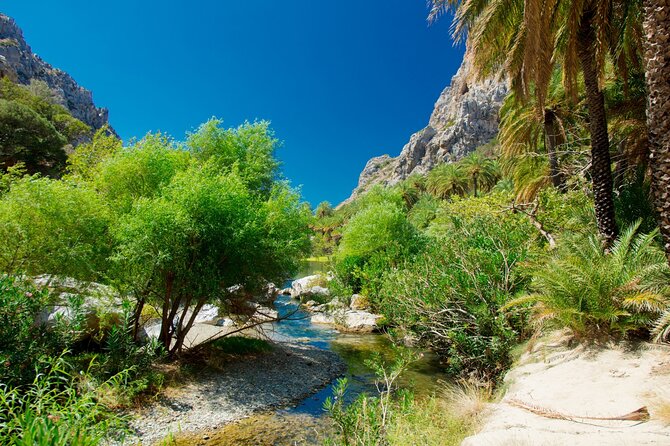 Heraklion: Preveli Boat Trip, Damnoni & Kourtaliotiko springs - Group Size and How the Day Stays Organized