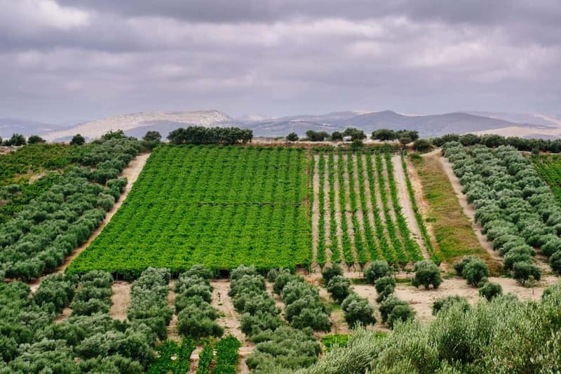 Heraklion: Private Food and Wine Tour with a local Sommelier - Setting out from Heraklion: private SUV, short transfer, real time tasting