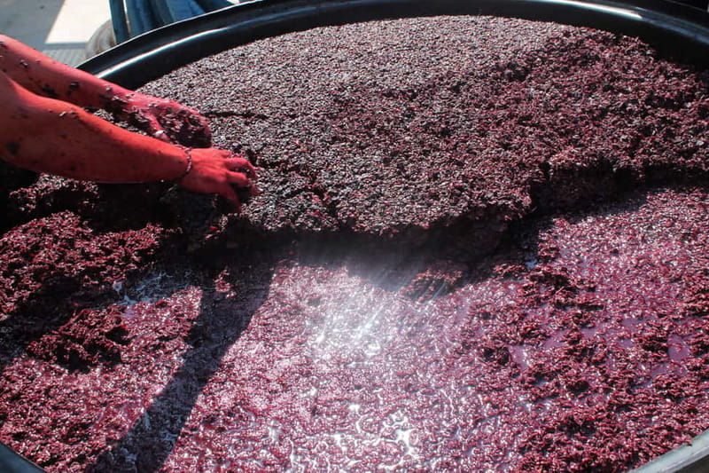 Heraklion: Private Food and Wine Tour with a local Sommelier - Who should book this Heraklion wine tour