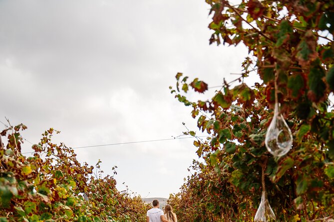 Heraklion Private Half-Day Gastronomy Diaries Experience in Lyrarakis Winery - Cellars, barrels, and what it means for the flavor