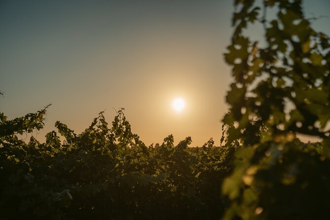 Heraklion Private Half-Day Wine Tasting Tour in Lyrarakis Winery - Key things I’d mark on your itinerary