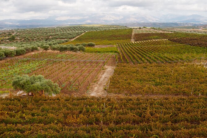 Heraklion Private Half-Day Wine Tasting Tour in Lyrarakis Winery - How the “half-day” adds up to about 6 hours