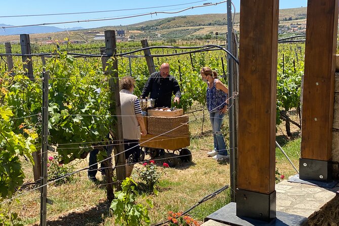 Heraklion Private Half-Day Wine Tasting Tour in Lyrarakis Winery - Price and value: $183.42 per person, with the full package