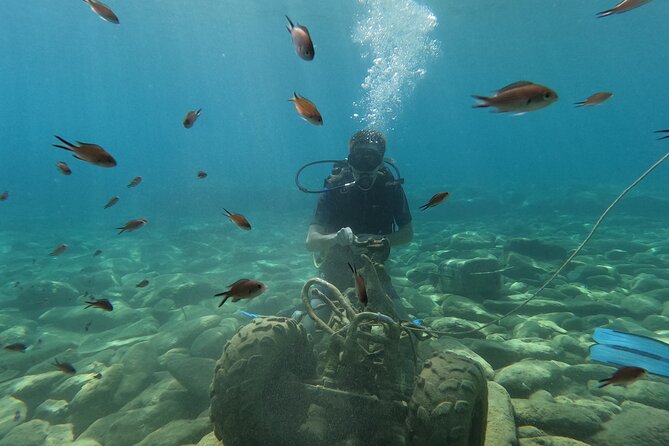 Heraklion: Scuba Diving Experience for Beginners - Agia Pelagia Beach: a smart place to start in Crete