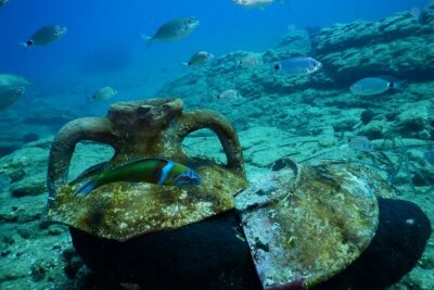 Heraklion: Scuba Diving Experience for Beginners - 30 minutes of theory + 45 minutes underwater practice
