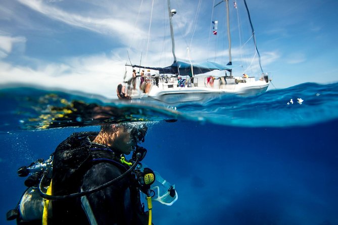 Heraklion: Scuba Diving Experience for First-Timers - Key Things You’ll Love About This Underwater Intro