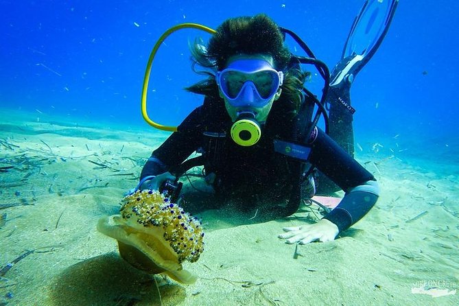 Heraklion: Scuba Diving Experience for First-Timers - Equipment Included: What You Don’t Need to Bring