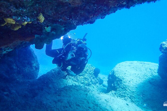Heraklion: Scuba Diving Experience for First-Timers - Price and Value: Does $84.29 Make Sense?
