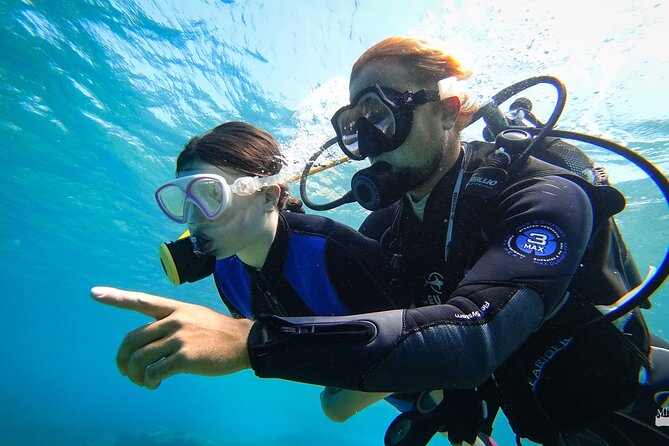 Heraklion: Scuba Diving Experience for First-Timers - Logistics That Matter on a Vacation Day