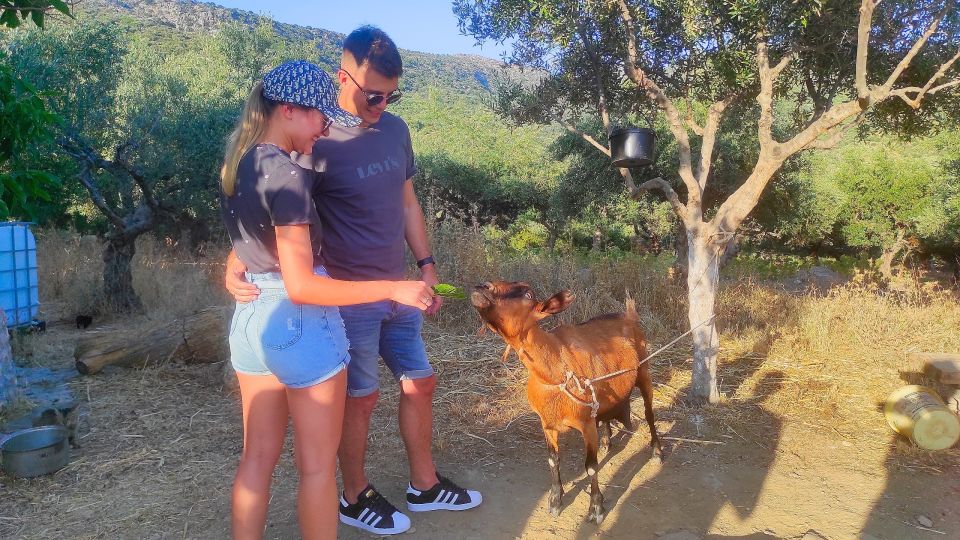 Heraklion: Self-Driving 4X4 Jeep Off-Road Tour with Lunch - Shepherd’s farm, goat milking, and how the morning connects to the land