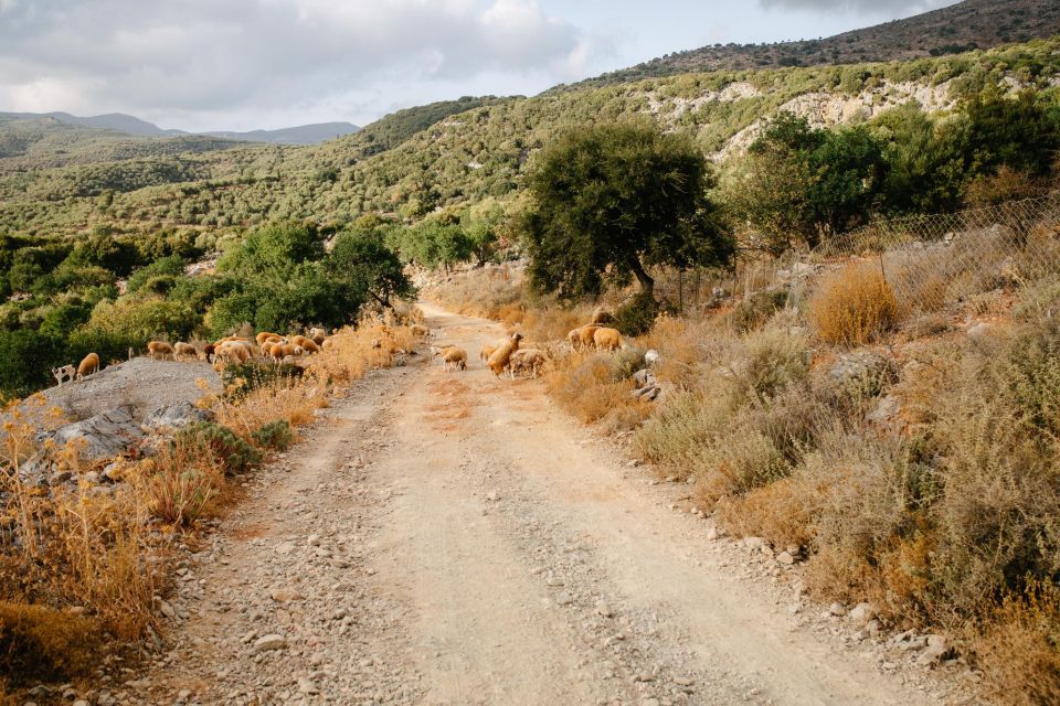 Heraklion: Self-Driving 4X4 Jeep Off-Road Tour with Lunch - Karas Pigadi photo stop and the climb toward ~1200m views