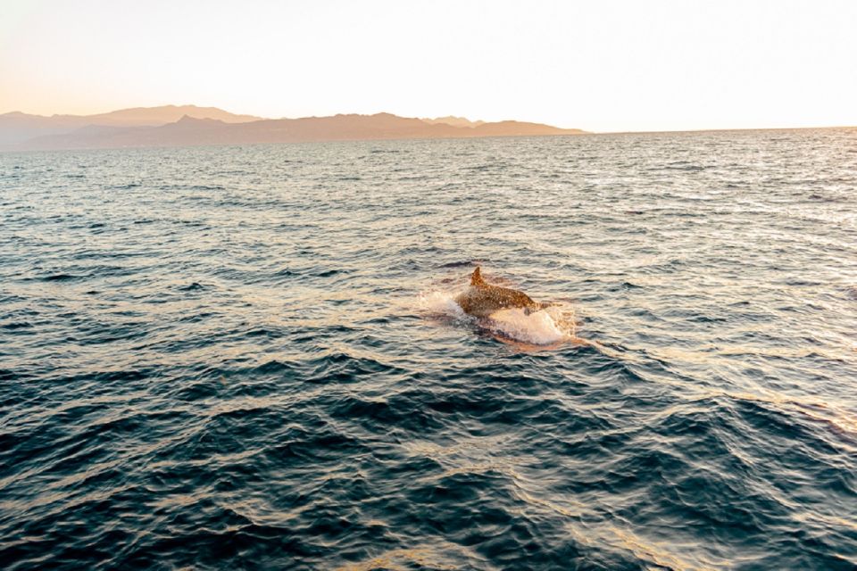 Heraklion: Sunset Private Sailing Trip to Dia island - Crew and Captain: What You Gain from a Real Sail Team