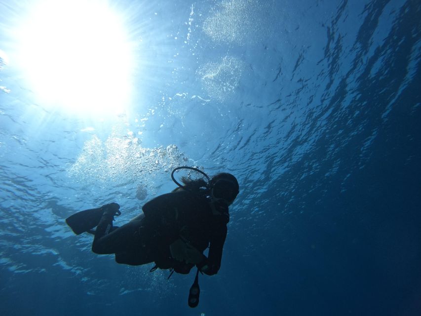 Heraklion: Try Scuba Diving For Beginners (1 dive) - Try Scuba for Beginners at Mononaftis Beach (Heraklion, Crete)