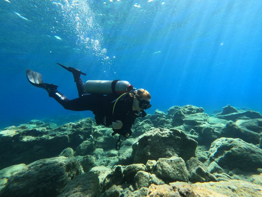 Heraklion: Try Scuba Diving For Beginners (1 dive) - The Underwater Plan: Learn Basics, Then Explore