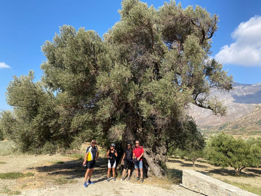 Heraklion: Wine Tasting E-Bike Tour - Why the ride ends with a car back to start