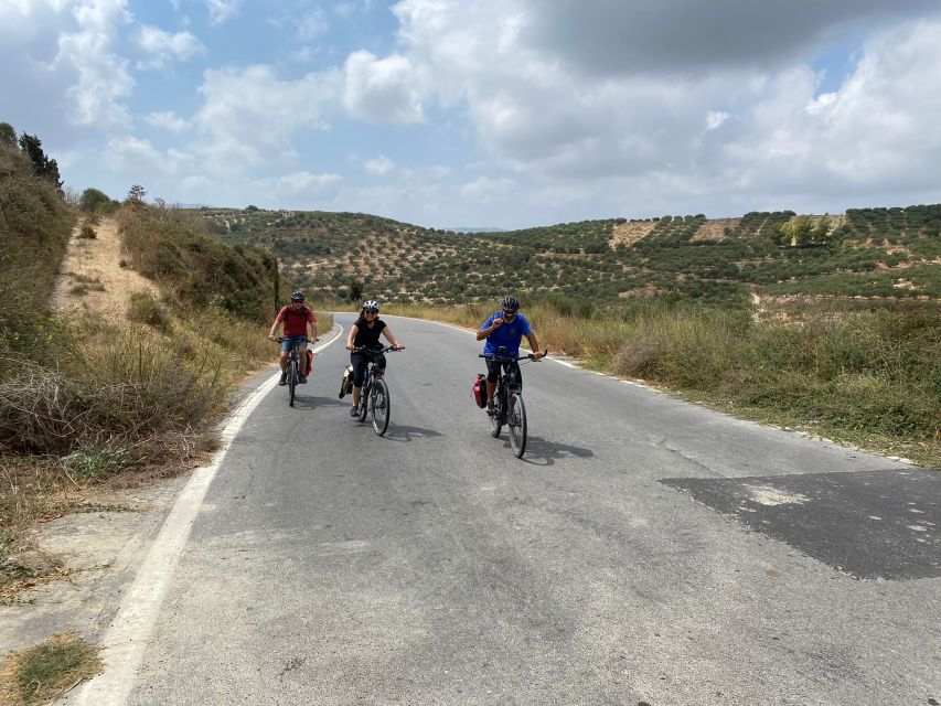 Heraklion: Wine Tasting E-Bike Tour - Price and value: what $101 buys you here