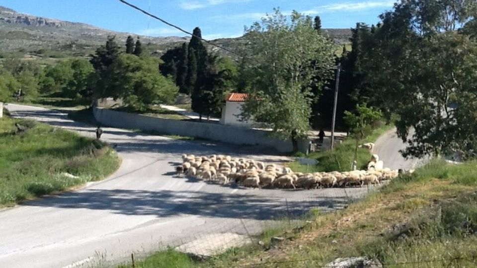 Heraklion:Cretan Villages with Patsos Gorge - St. Antonios Gorge: Green Canyon Walking Up to the Cave