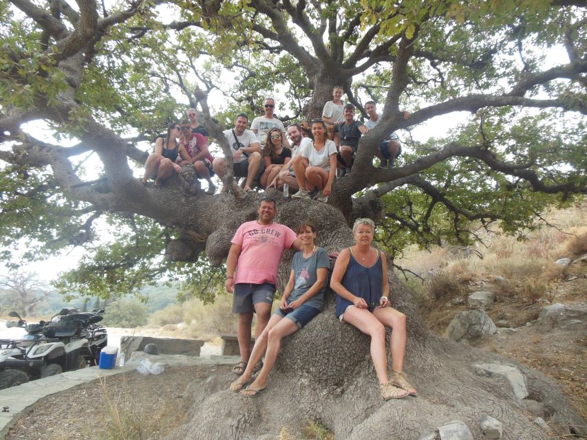Hersonisos - Malia :off-road quad safari with transfer+Lunch - Price and value: is $88 a good deal?