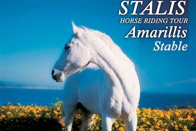 HORSE RIDING 1.5 hours mountains from area Hersonissos CRETE - Key highlights worth aiming for