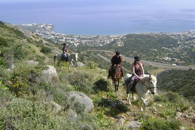 HORSE RIDING 1.5 hours mountains from area Hersonissos CRETE - Riding level and pace: what it means for first-timers